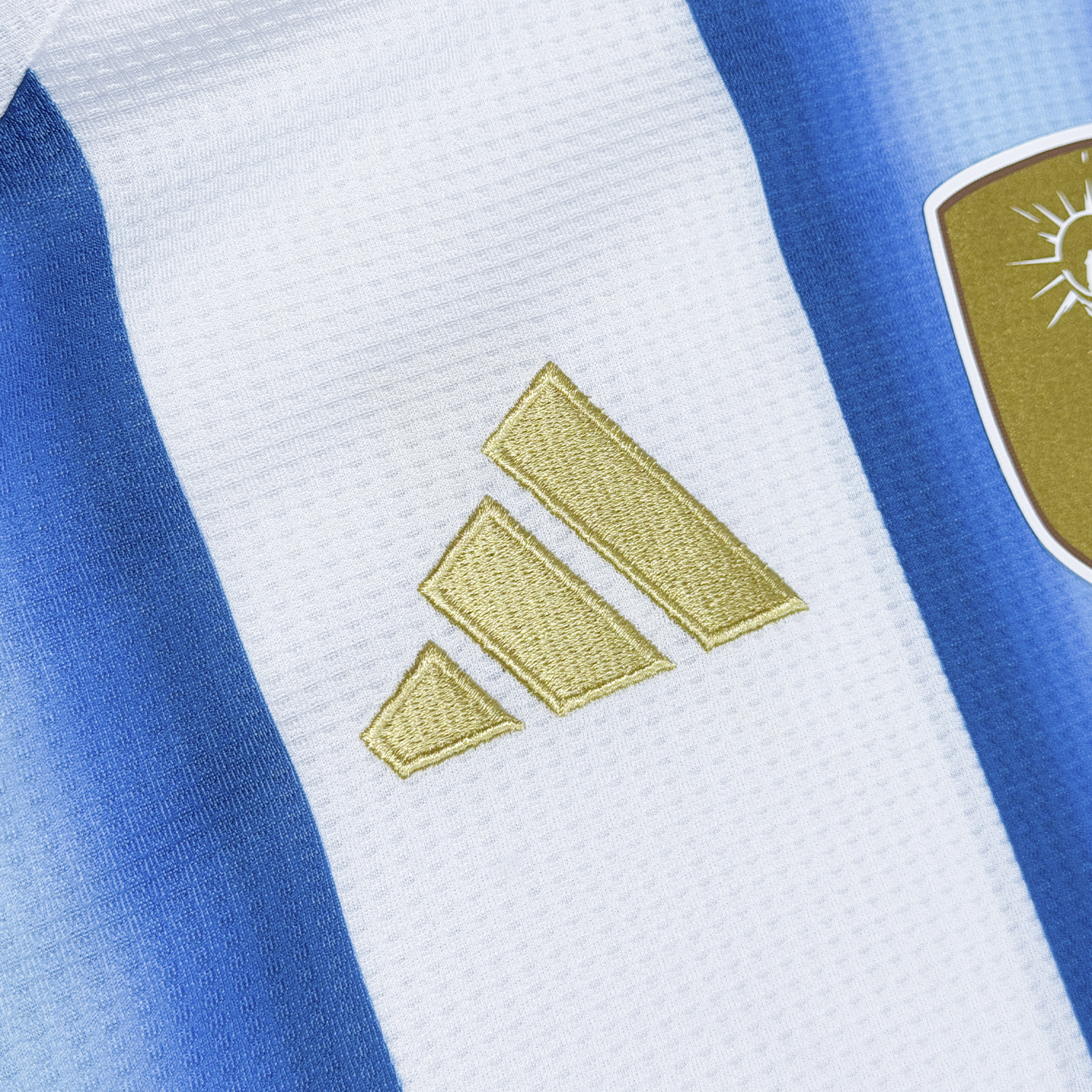 Argentina 2026 Local