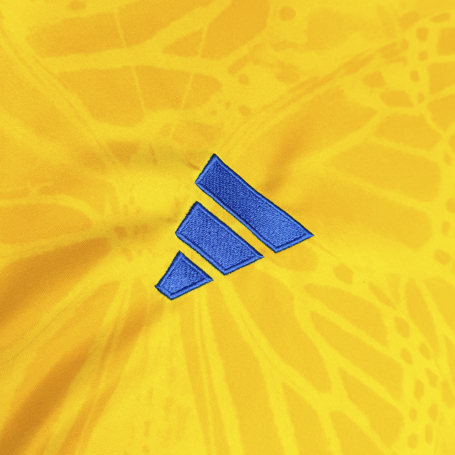 Colombia 2026 Local