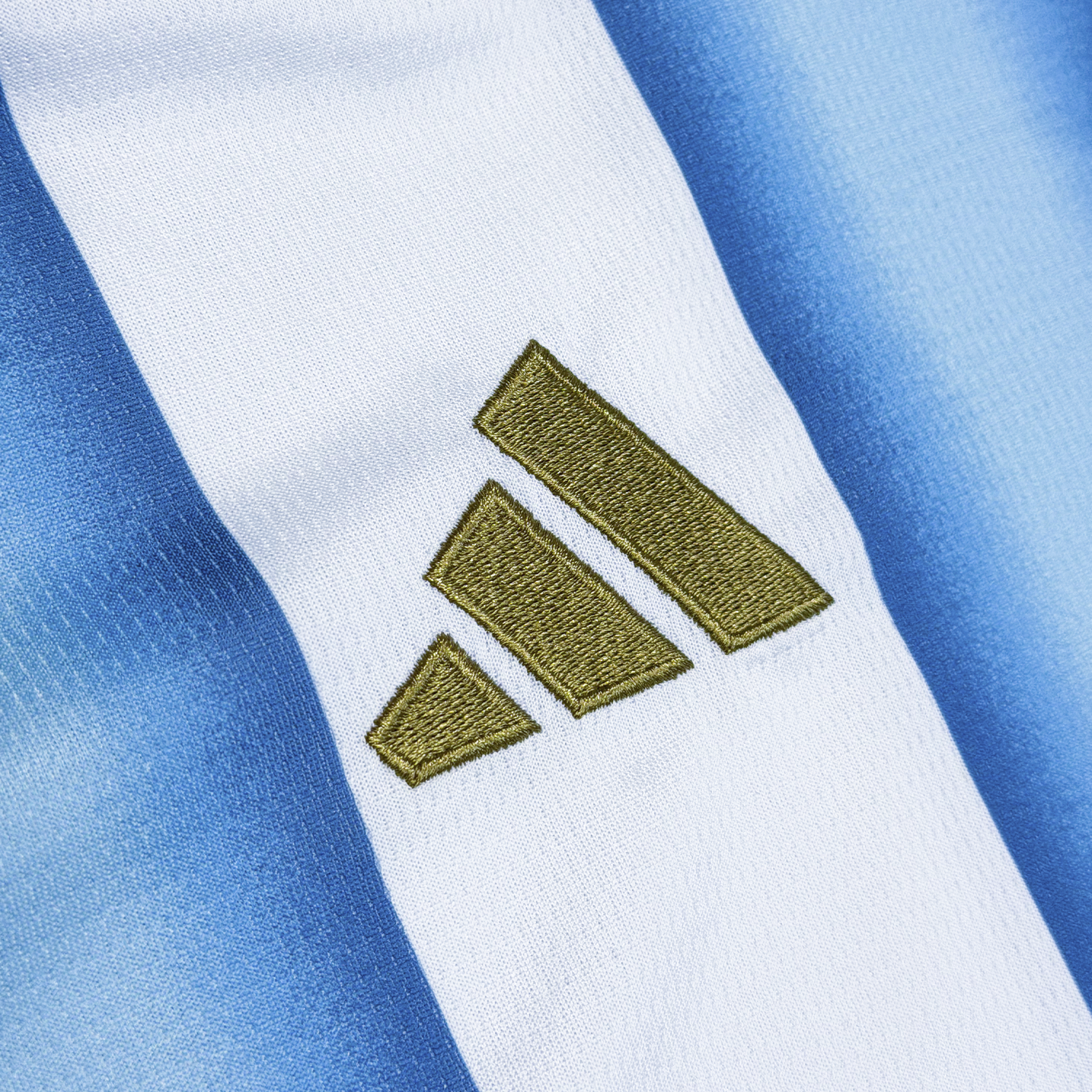 Argentina 2026 Local CropTop