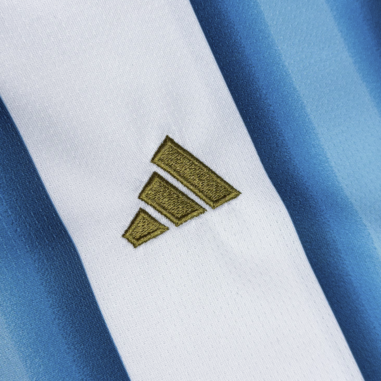Argentina 2026 Local para Niños