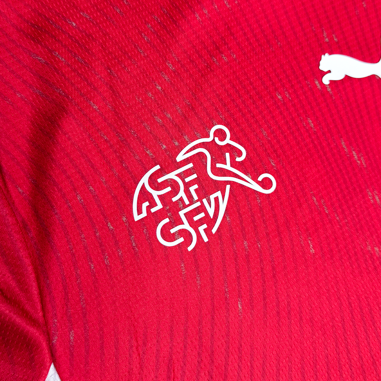 Suiza 2026 Local