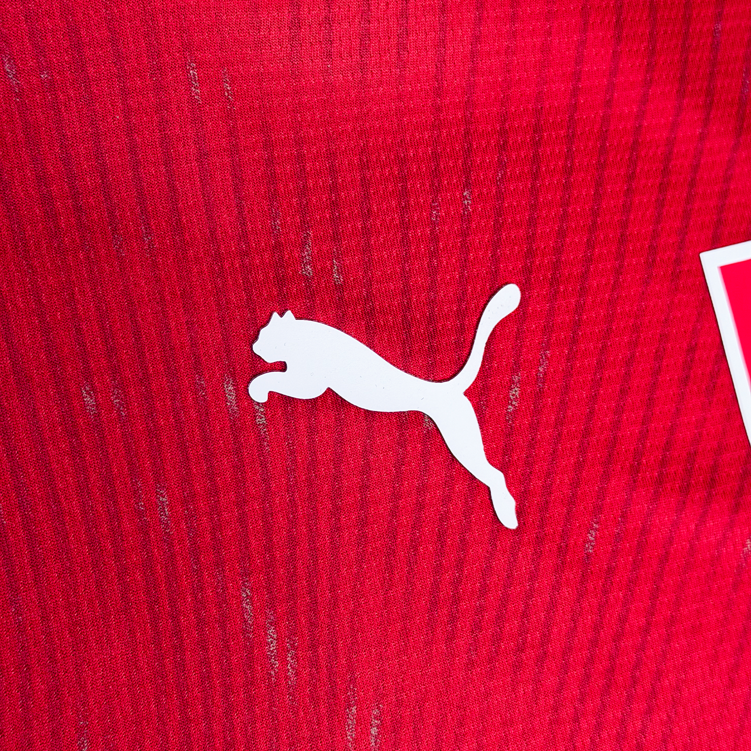 Suiza 2026 Local