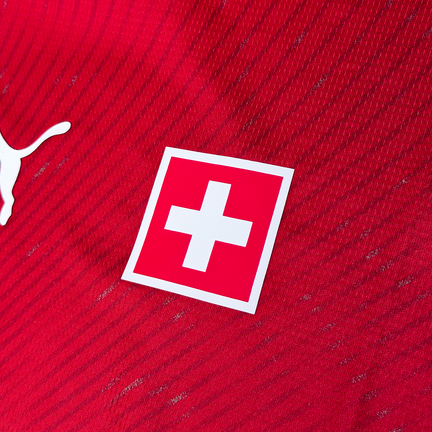 Suiza 2026 Local