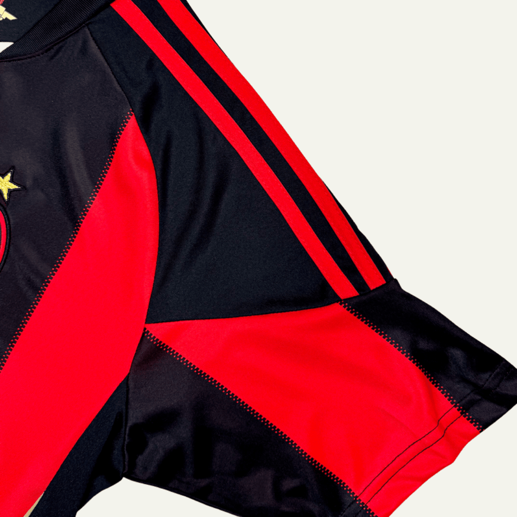 AC Milan 2010/11 Local