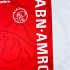 Ajax 1995/96 Local