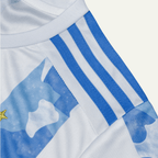 Argentina 2021 Local