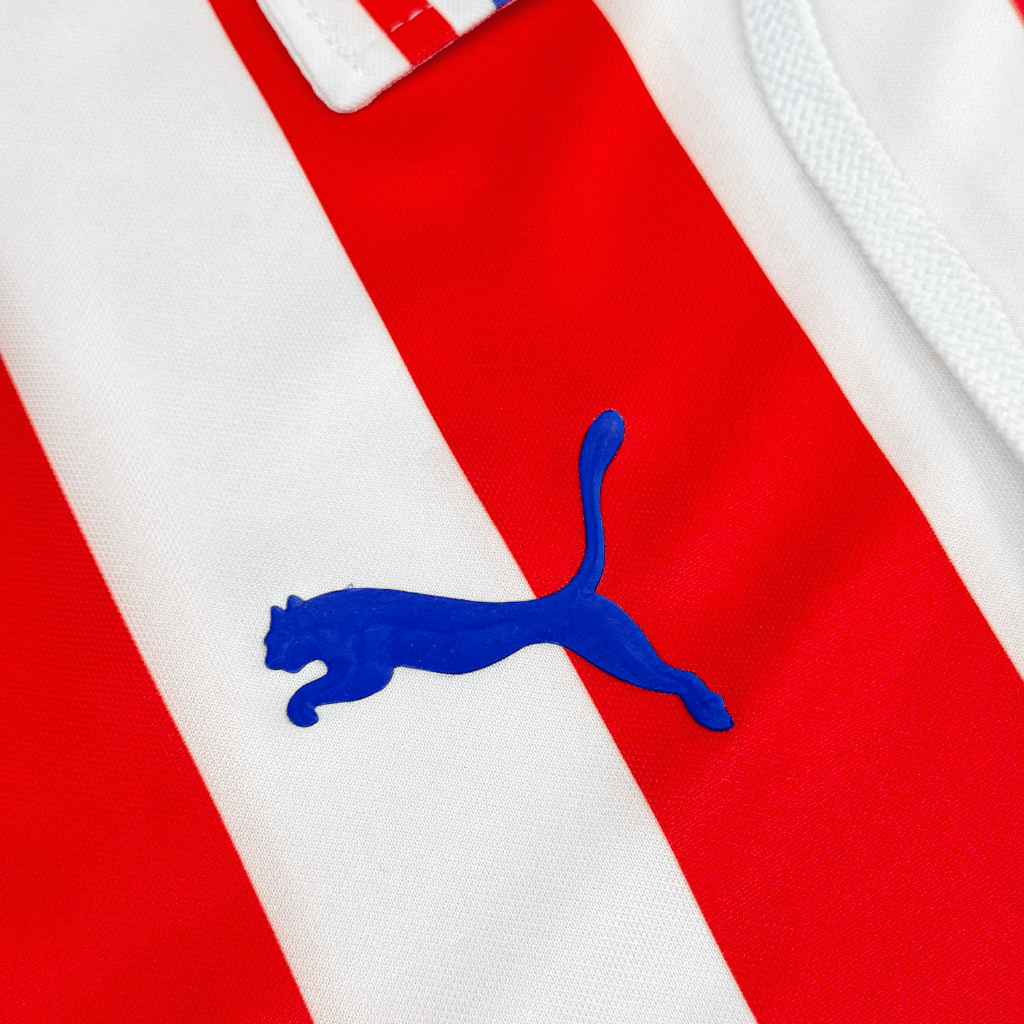 Jersey Chivas 110 Años Local