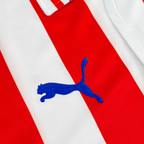 Jersey Chivas 110 Años Local