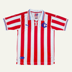 Jersey Chivas 110 Años Local