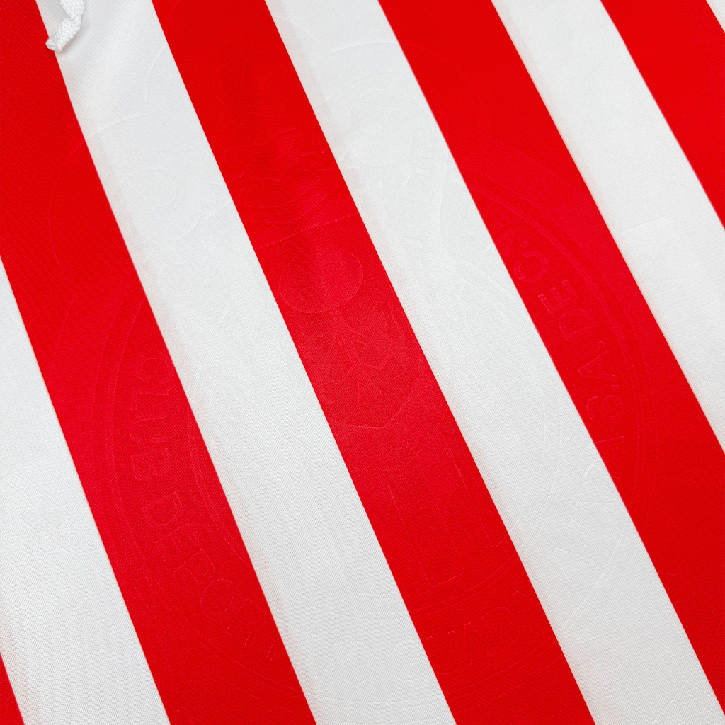 Jersey Chivas 110 Años Local