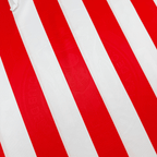 Jersey Chivas 110 Años Local