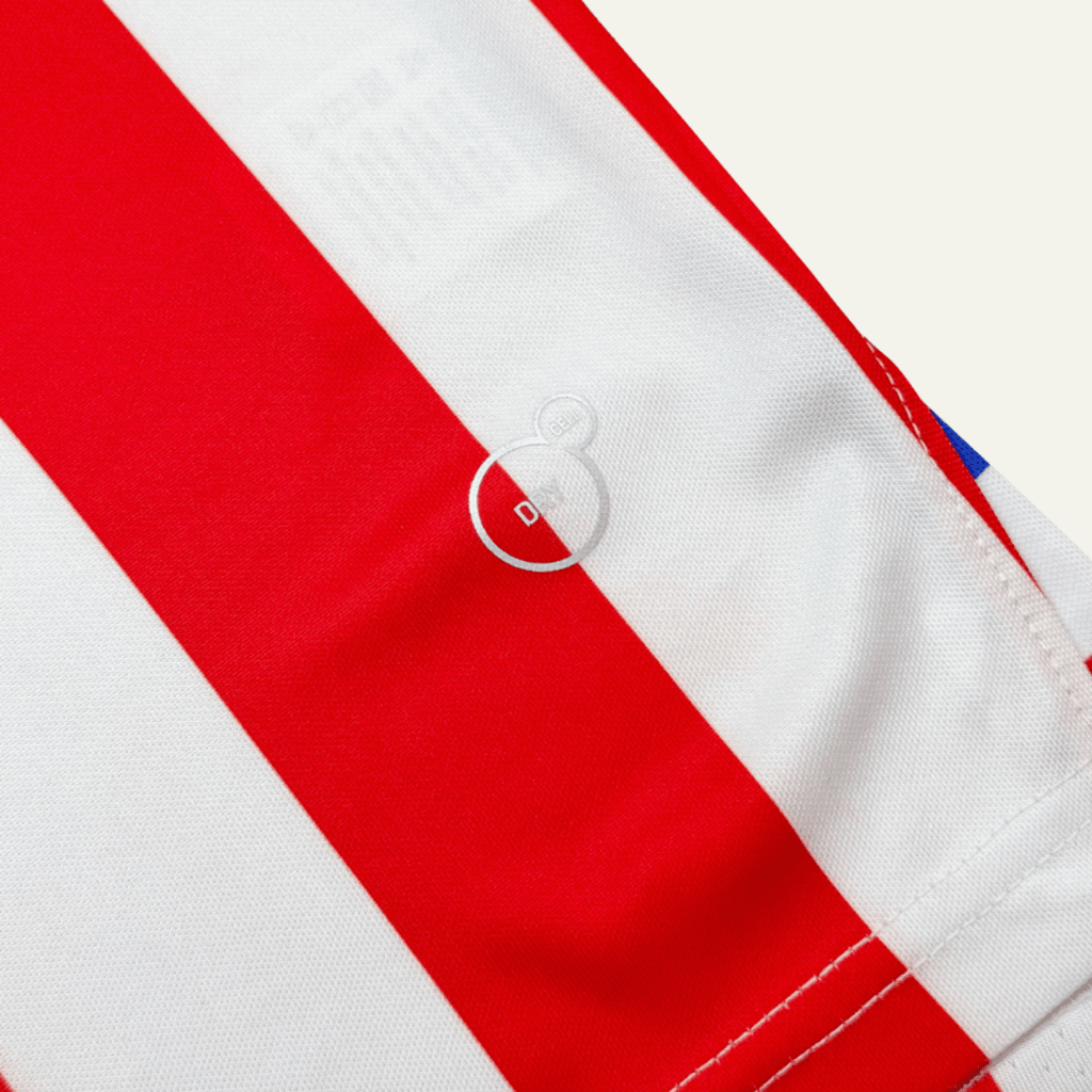 Jersey Chivas 110 Años Local