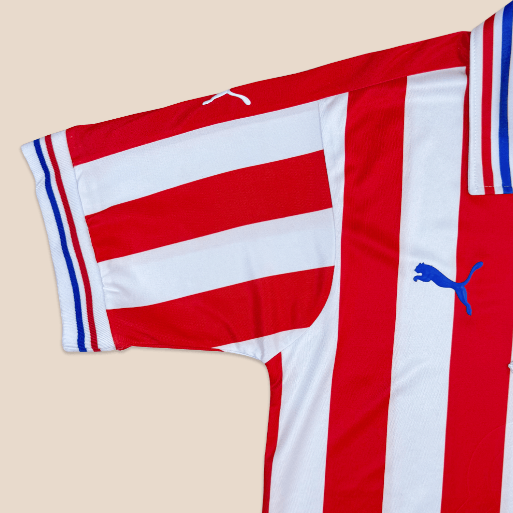 Jersey Chivas 110 Años Local