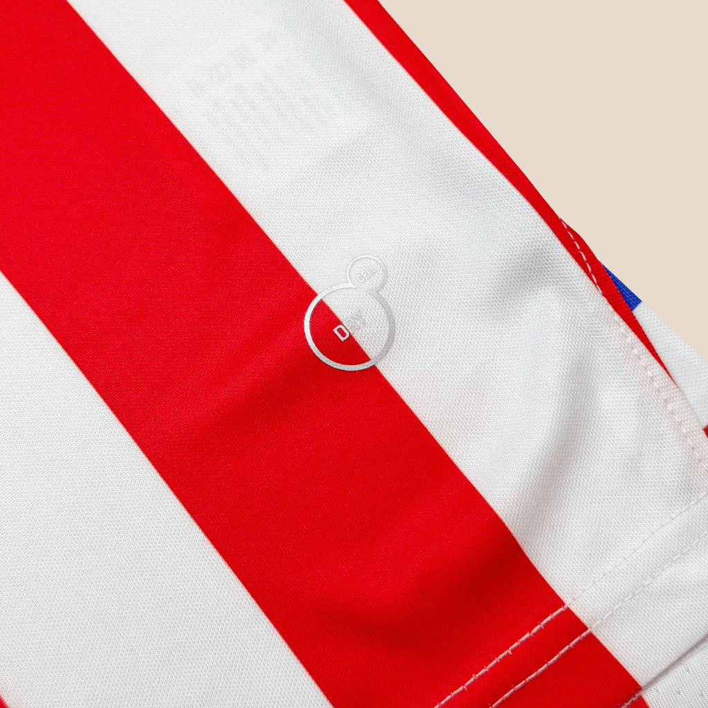 Jersey Chivas 110 Años Local