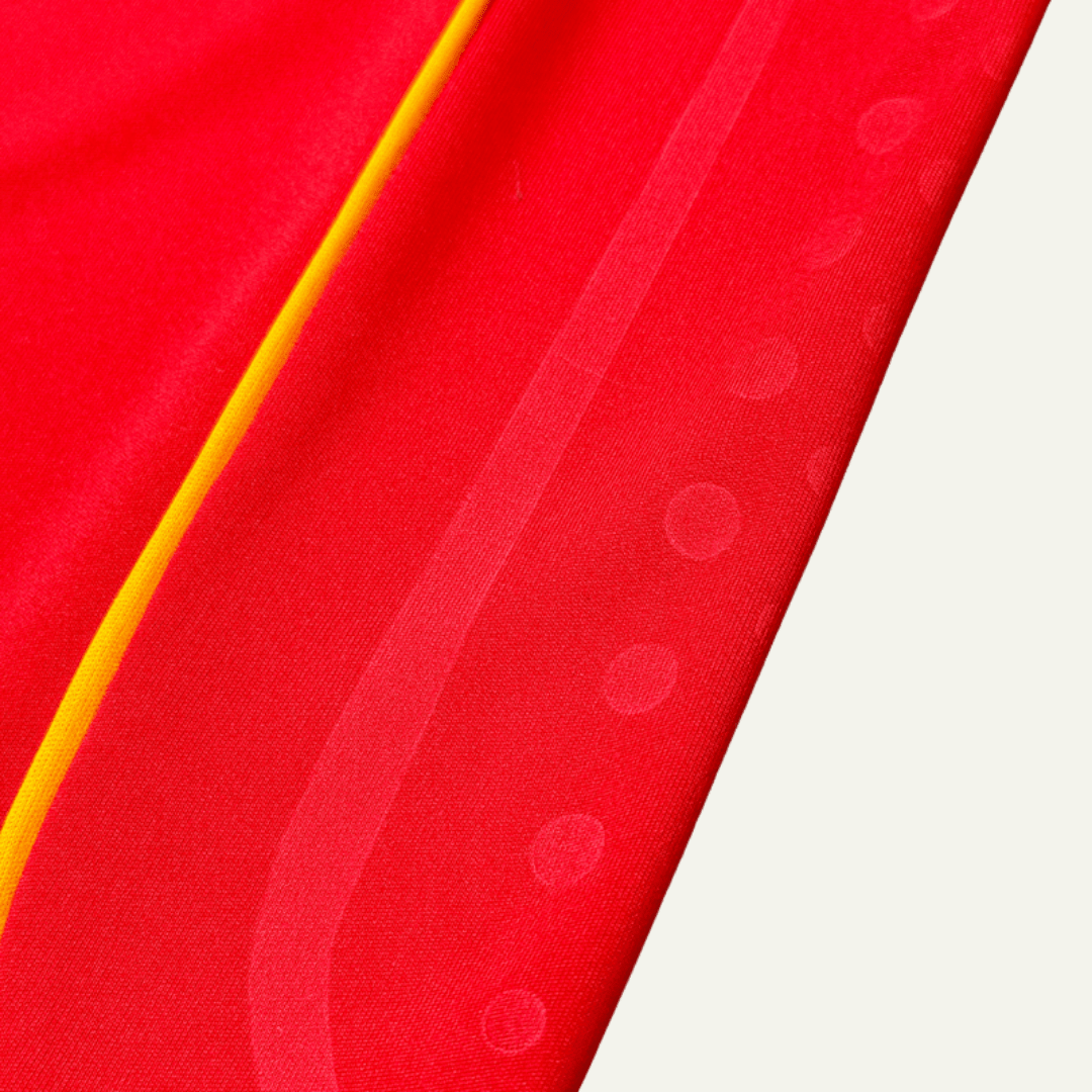 España 2008 Local
