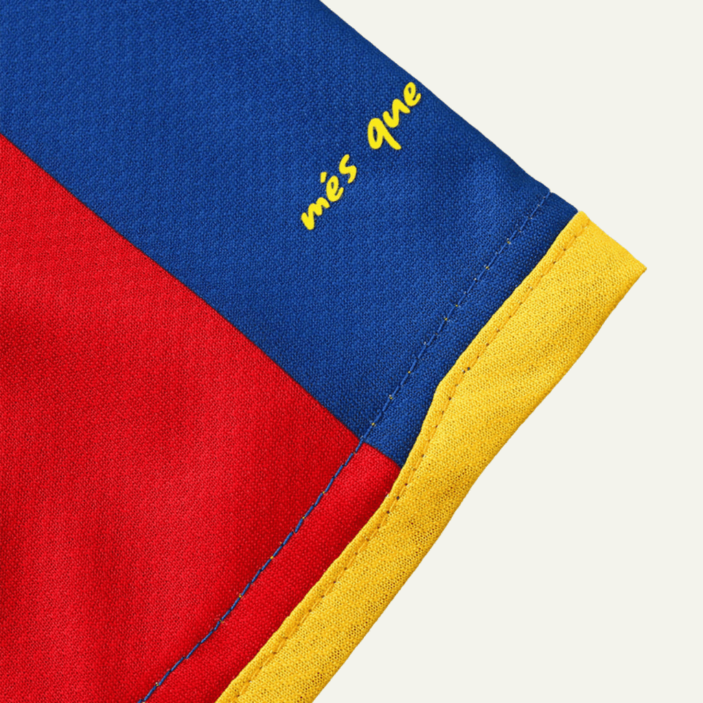 FC Barcelona 2010/11 Local