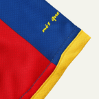 FC Barcelona 2010/11 Local