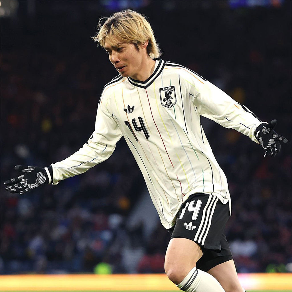 Japón 2026 Visitante