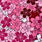 Japón Edición Especial Sakura