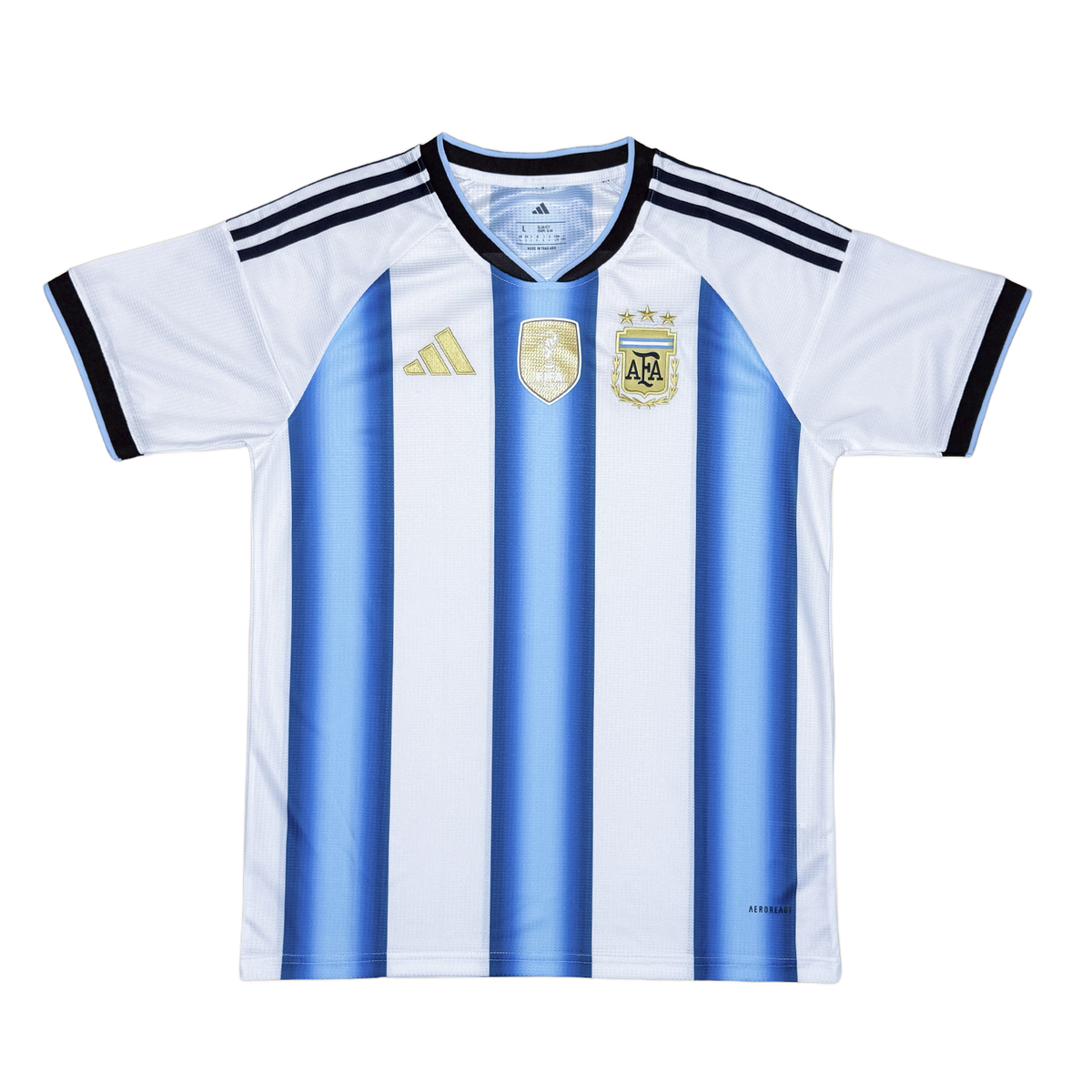 Argentina 2026 Local