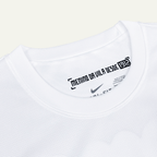 Santos 2012/13 Local